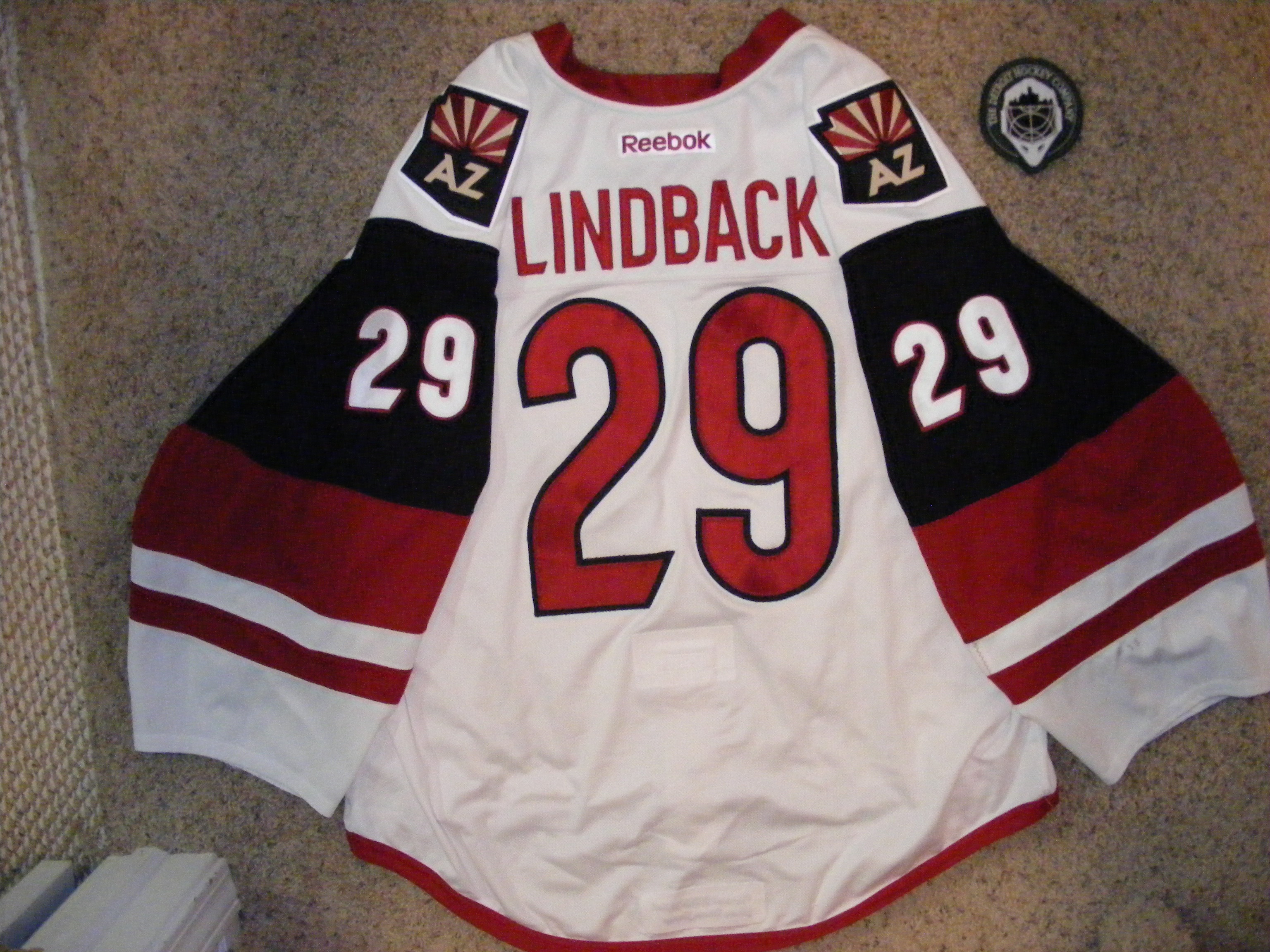 20 Anders Lindback (Set 1) 15/16 The Detroit Hockey Company